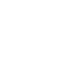 Ana Dica